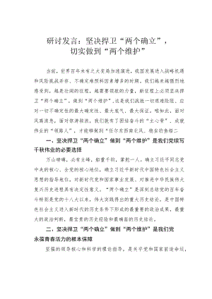 研讨发言：坚决捍卫“两个确立”切实做到“两个维护”.docx