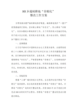 XX乡遏制耕地“非粮化”整改工作方案.docx