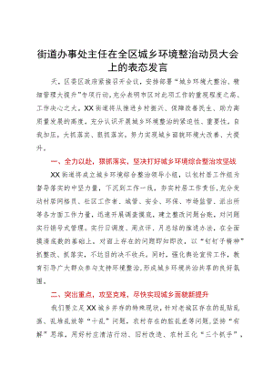 街道办事处主任在全区城乡环境整治动员大会上的表态发言.docx