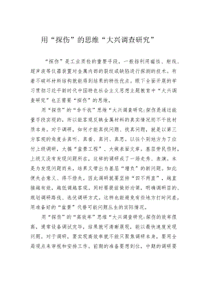 用“探伤”的思维“大兴调查研究”.docx
