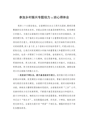参加乡村振兴专题培训班心得体会.docx
