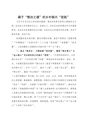 某街道党员干部主题教育研讨材料：藏于“整改之履”的乡村振兴“密匙”.docx