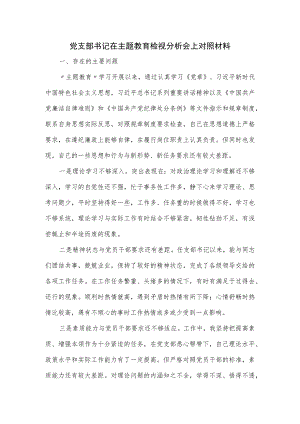 党支部书记在主题教育检视分析会上对照材料.docx