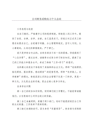 公司财务采购实习个人总结.docx