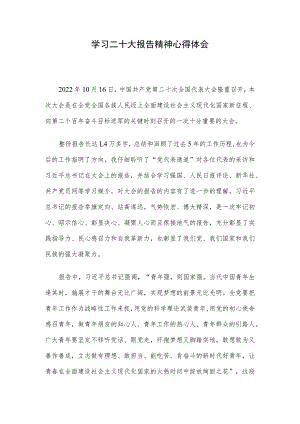 学习二十大报告精神心得体会.docx