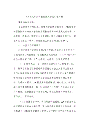XX党支部主题教育开展情况汇报材料.docx