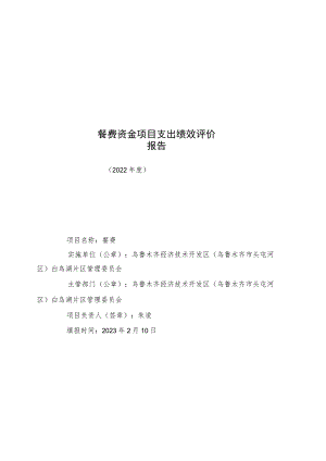 餐费资金项目支出绩效评价报告.docx