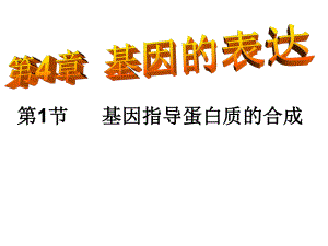 第1节基因指导蛋白质的合成名师编辑PPT课件.ppt