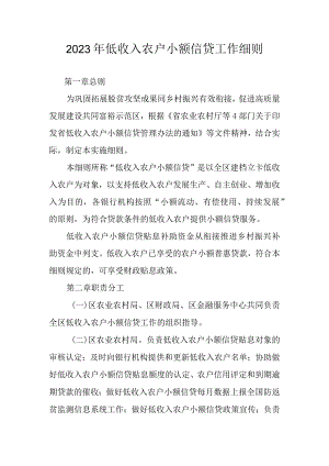 2023年低收入农户小额信贷工作细则.docx
