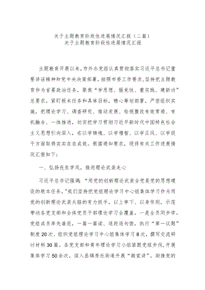 关于主题教育阶段性进展情况汇报(二篇).docx