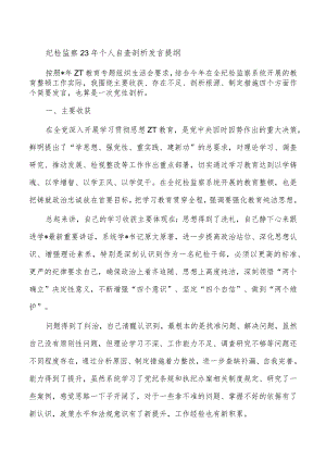 纪检监察23年个人自查剖析发言提纲.docx