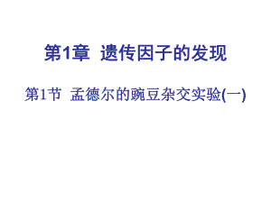 第1章遗传因子的发现第1节孟德尔的豌豆杂交实验一名师编辑PPT课件.ppt