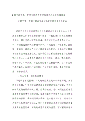2篇专题党课：贯彻主题教育精神 扬青年风采 谱无悔青春.docx