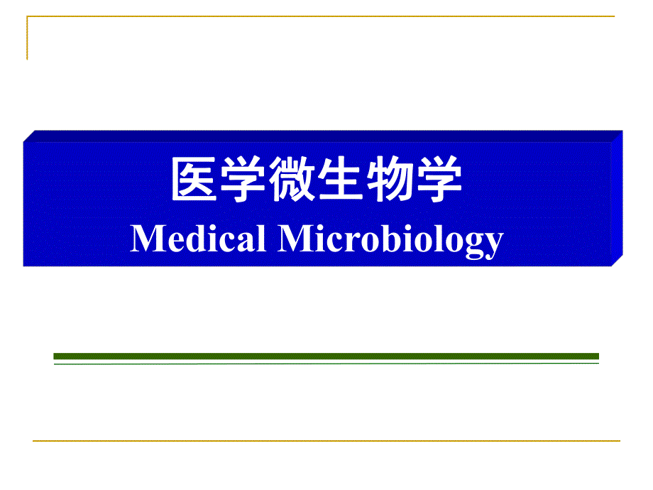 第26章其它病毒.ppt_第1页