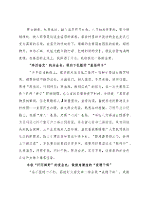 街道办事处选调生选调基层工作期间心得体会.docx