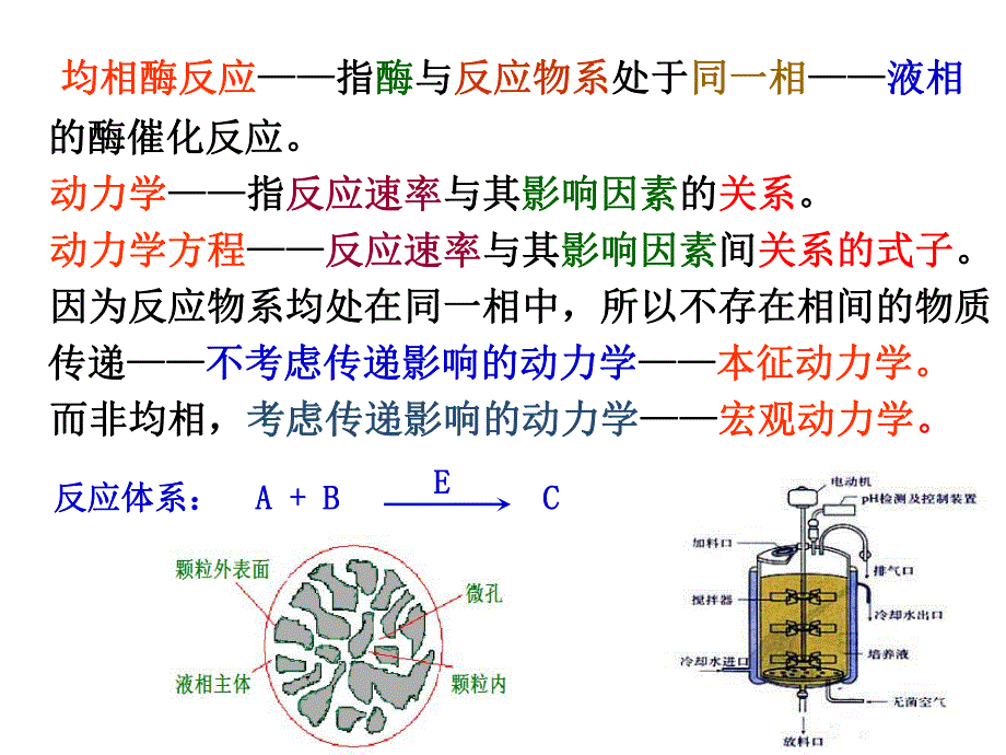 第2章均相酶反应动力学.ppt_第2页