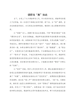 主题教育研讨材料：调研当“真”如此.docx