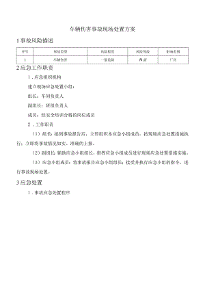 车辆伤害事故现场处置方案.docx