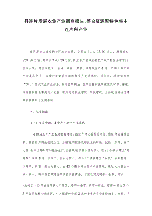 县连片发展农业产业调查报告：整合资源聚特色 集中连片兴产业.docx