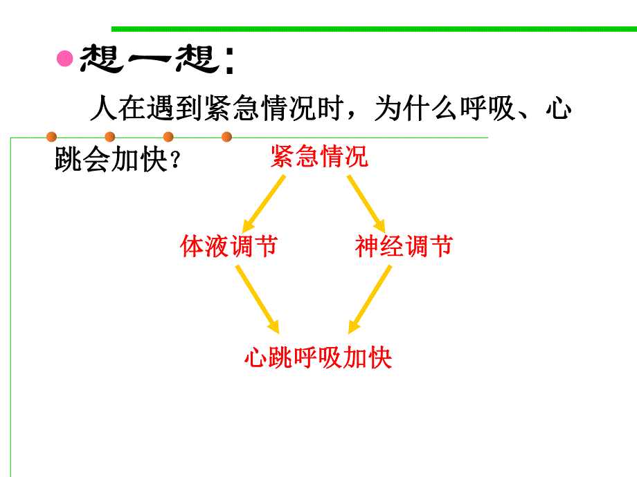 第2章动物和人体生命活动的调节名师编辑PPT课件.ppt_第3页