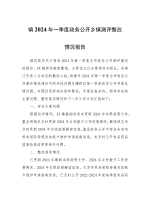 镇2024年一季度政务公开乡镇测评整改情况报告.docx