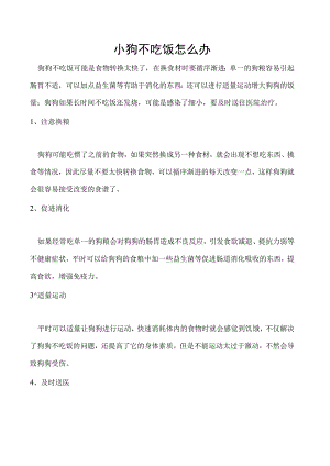小狗不吃饭怎么办.docx