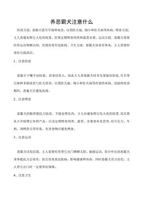 养恶霸犬注意什么.docx