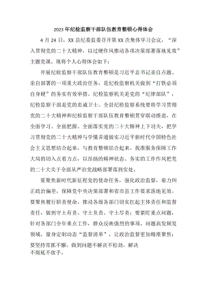 新版全省2023年纪检监察干部队伍教育整顿个人心得体会 （8份）.docx