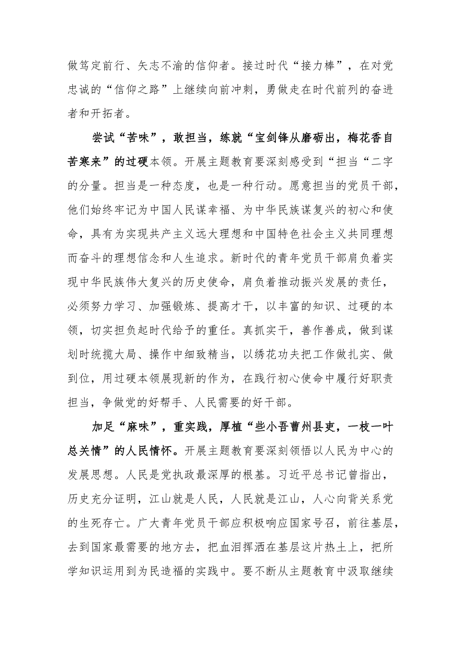 2023年下半年党员领导干部青年学习主题教育工作会议上重要讲话心得体会研讨发言5篇.docx_第2页