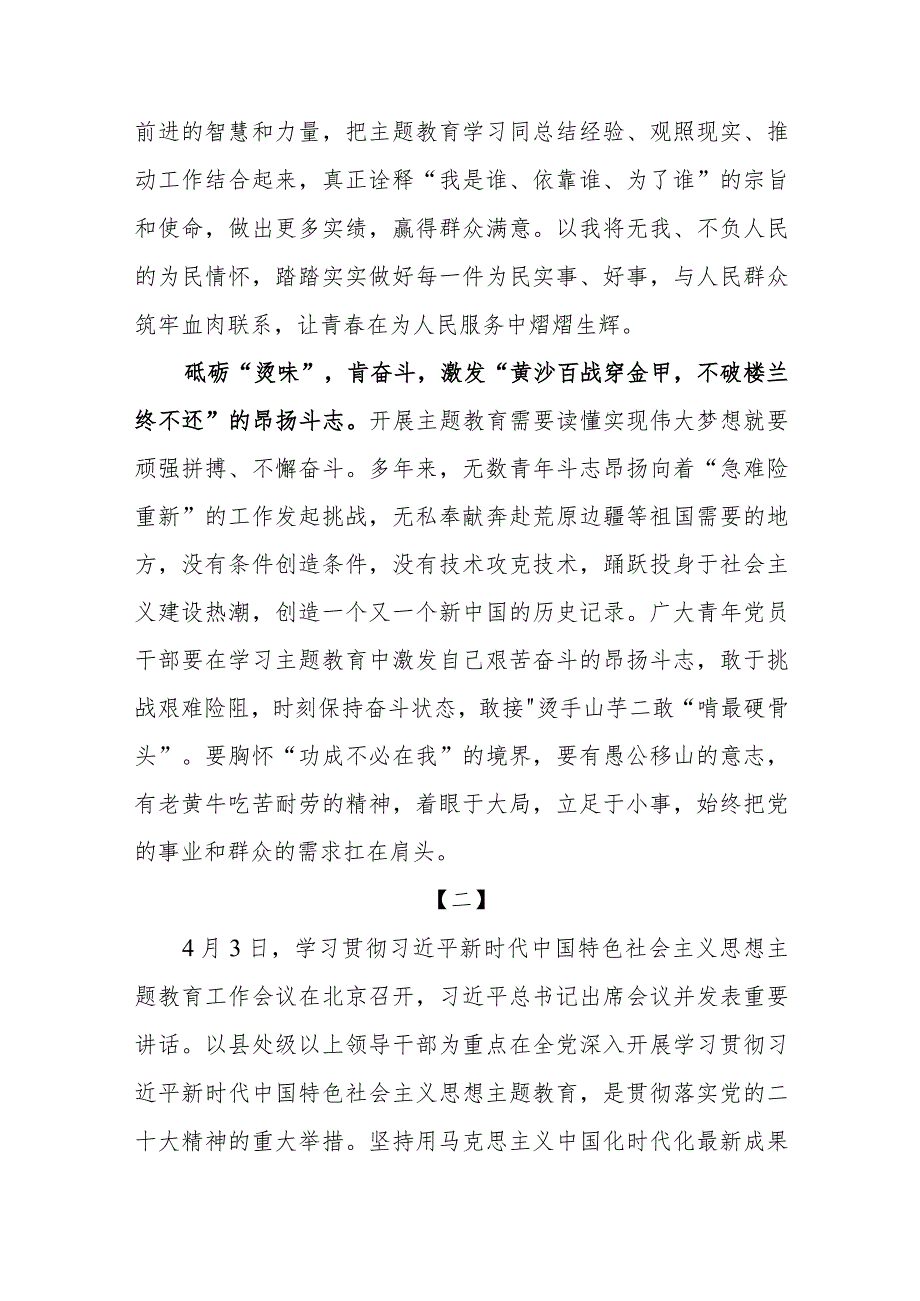 2023年下半年党员领导干部青年学习主题教育工作会议上重要讲话心得体会研讨发言5篇.docx_第3页