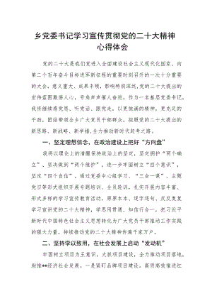 乡党委书记学习宣传贯彻党的二十大精神心得体会.docx