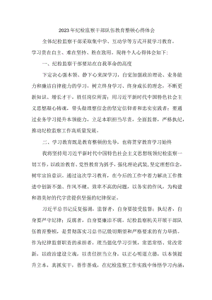 央企单位2023年纪检监察干部队伍教育整顿心得体会.docx