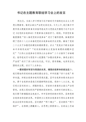 【主题教育】书记在主题教育联组学习会上的发言.docx