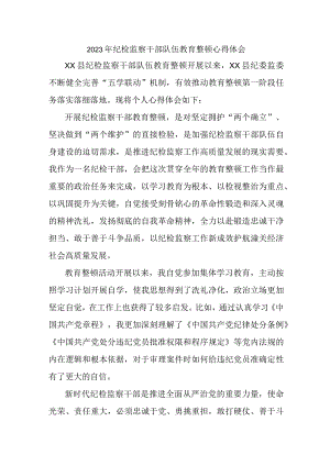 市区机关事业单位2023年纪检监察干部队伍教育整顿个人心得体会 合计10份.docx