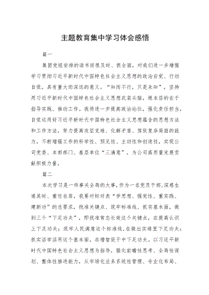 主题教育集中学习体会感悟16篇.docx