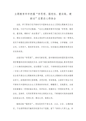 主题教育牢牢把握“学思想、强党性、重实践、建新功”总要求心得体会.docx