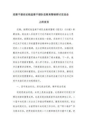 巡察干部在2023年纪检监察干部队伍教育整顿研讨交流会上的发言范文.docx