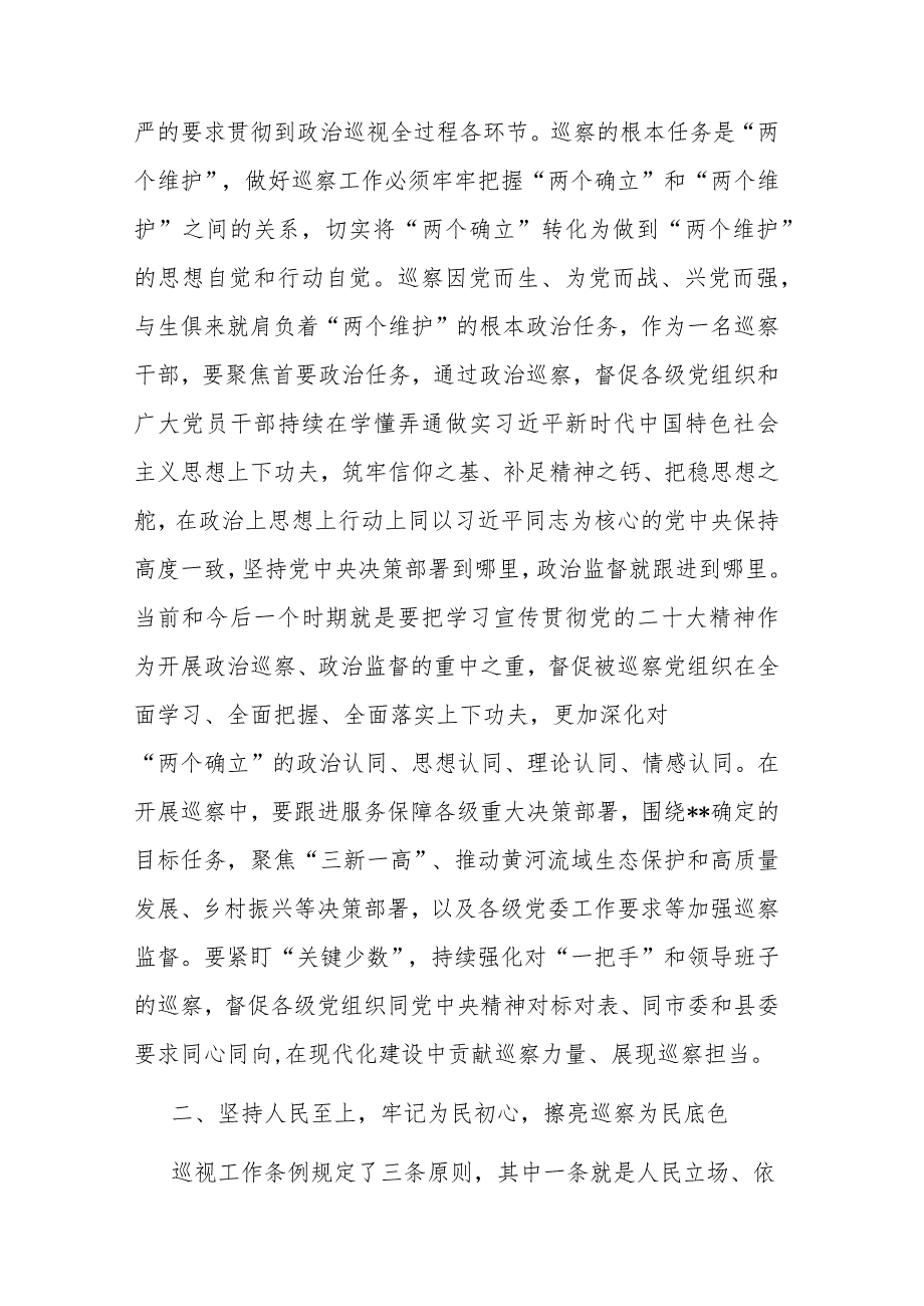 巡察干部在2023年纪检监察干部队伍教育整顿研讨交流会上的发言范文.docx_第2页