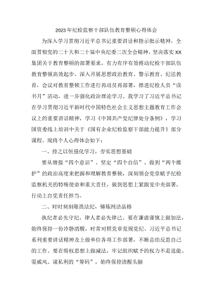 央企单位2023年纪检监察干部队伍教育整顿心得体会 （7份）.docx