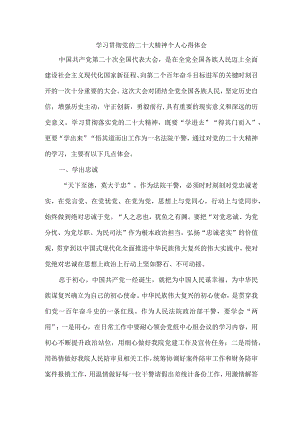 法警党员干部学习宣传贯彻党的二十大精神个人心得体会 （合计4份）.docx