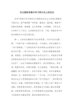 2023年领导干部在主题教育集中学习研讨会上的发言范文2篇.docx