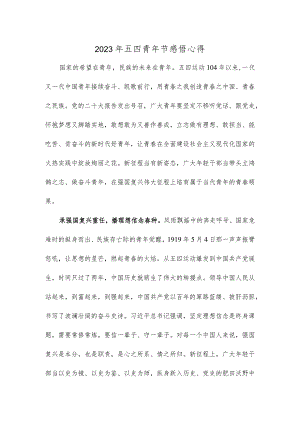 2023年五四青年节感悟心得.docx