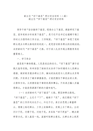 副主任“四下基层”研讨发言材料(二篇).docx