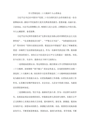 司法干警党员干部《学习宣传贯彻党的二十大精神》个人心得体会 （合计4份）.docx