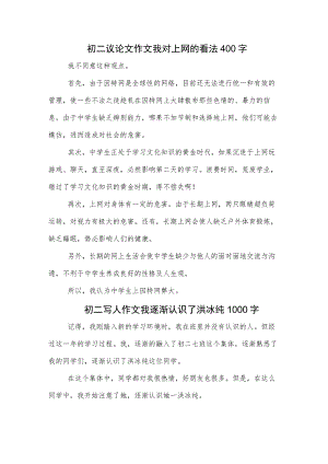 初二议论文作文我对上网的看法400字.docx