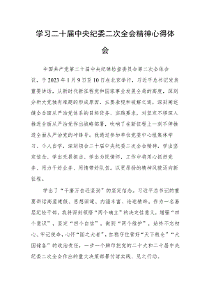 学习二十届中央纪委二次全会精神心得体会.docx