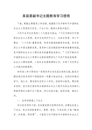 某县委副书记主题教育学习感悟.docx