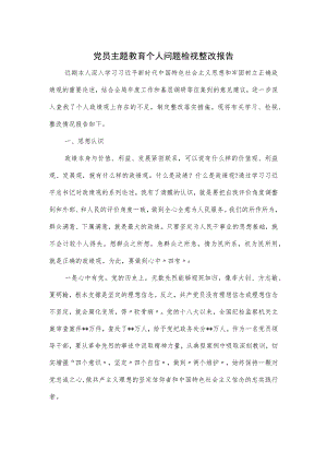 党员主题教育个人问题检视整改报告.docx
