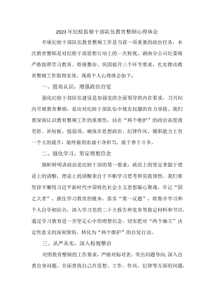 民营企业纪委2023年纪检监察干部队伍教育整顿心得体会 （10份）.docx