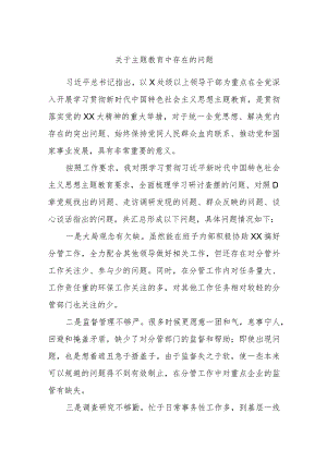 关于主题教育中存在的问题.docx